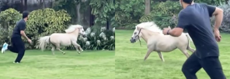 MS Dhoni racing with a horse. Pic: Sakshi Dhoni/ Instagram