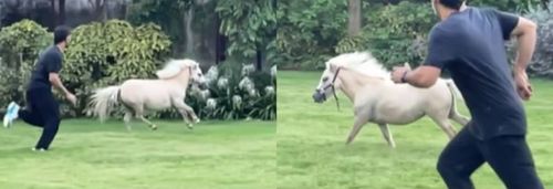 MS Dhoni racing with a horse. Pic: Sakshi Dhoni/ Instagram