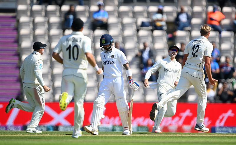 New Zealand players celebrating the fall of a wicket in the WTC final against India.