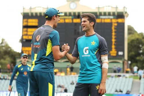 Shaheen Shah Afridi will hold the key to Pakistan's success in the second edition of the World Test Championship