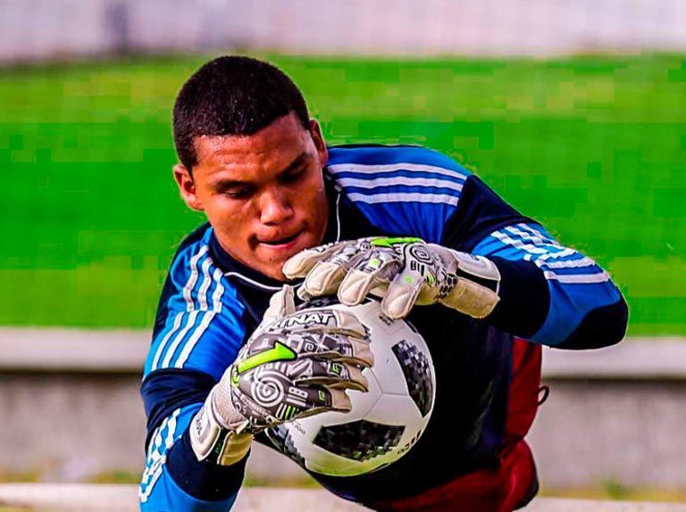 Graterol impressed between the sticks for Venezuela