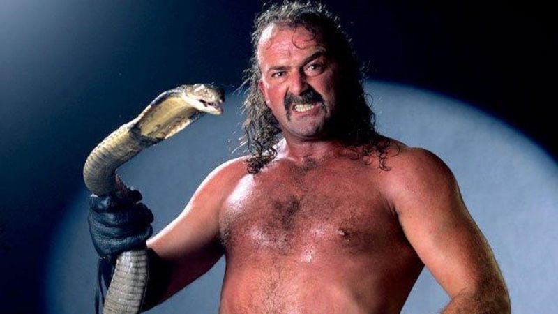 Jake "The Snake" Roberts is a WWE icon