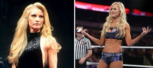 Several former female wrestlers now look completely different when compared to their WWE careers