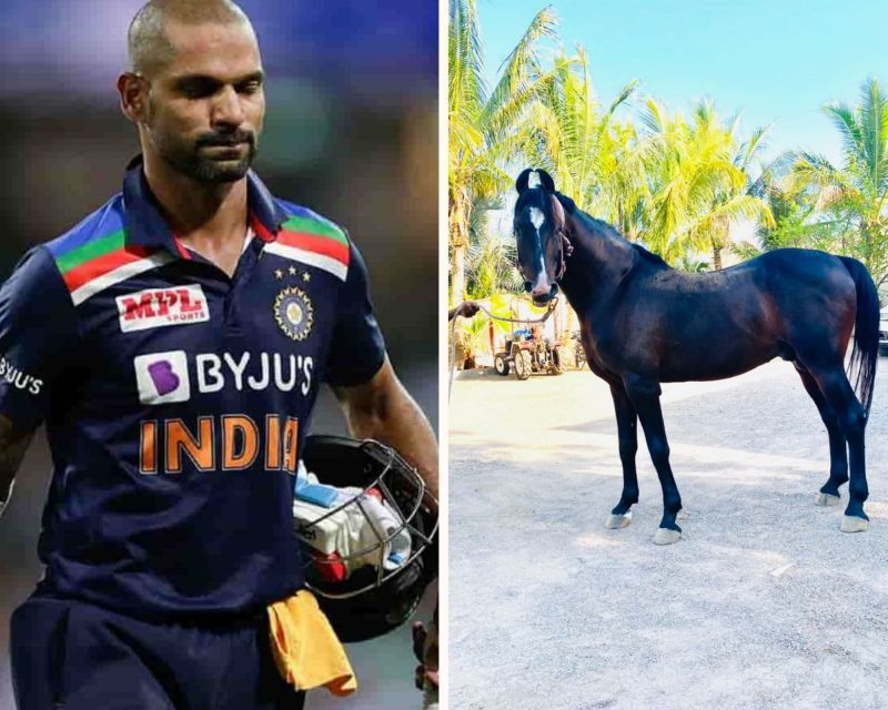 Shikhar Dhawan loves to ride on horses