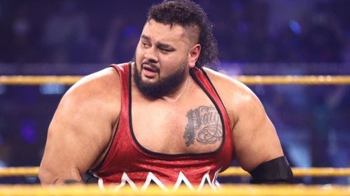 WWE released former NXT North American Champion Bronson Reed on Friday evening.