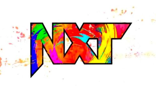 The new NXT logo sports colors and a design that are straight out of the early 90's