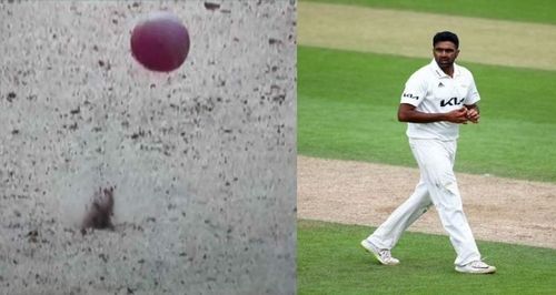 (Left) An image of the Lord’s surface shared by Wasim Jaffer; (Right) Ravichandran Ashwin