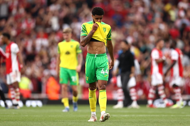 Norwich are now at the bottom of the table after losing to Arsenal