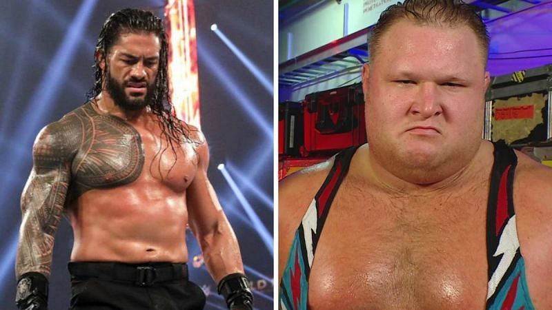 WWE में फैंस हील के साथ साथ फेस को भी पसंद करते हैं