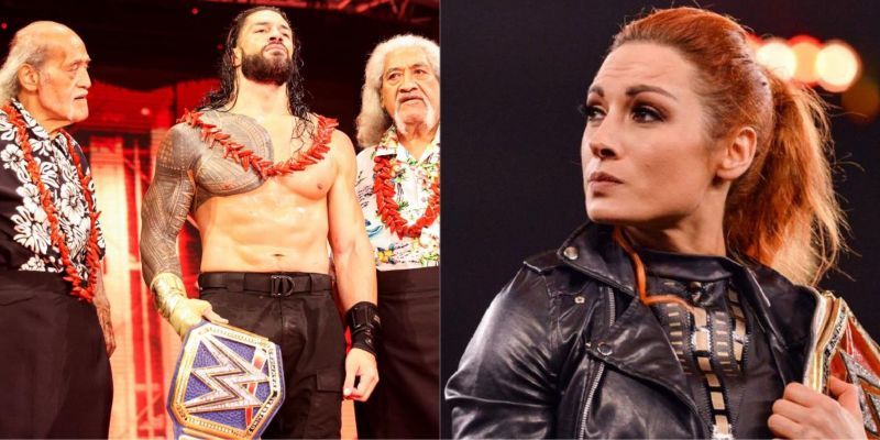 WWE सुपरस्टार्स हॉलीवुड में जाकर सफलता हासिल कर सकते हैं