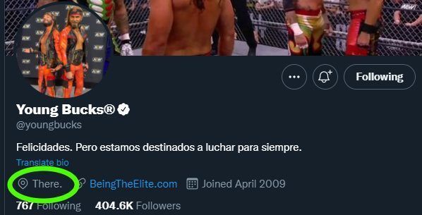 The Young Bucks' Twitter profile (via WrestleTalk)