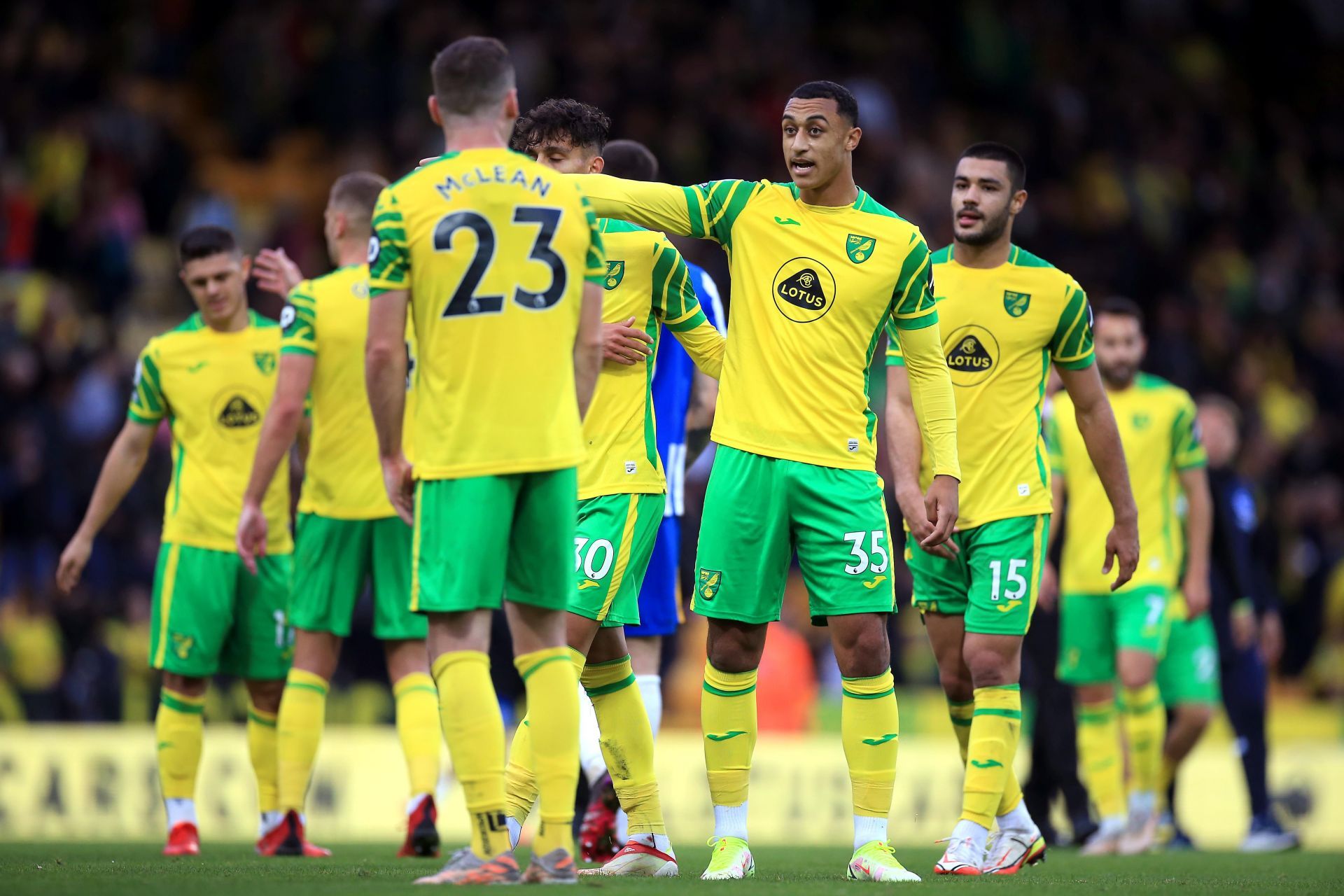 Norwich City v Brighton &amp; Hove Albion - Premier League