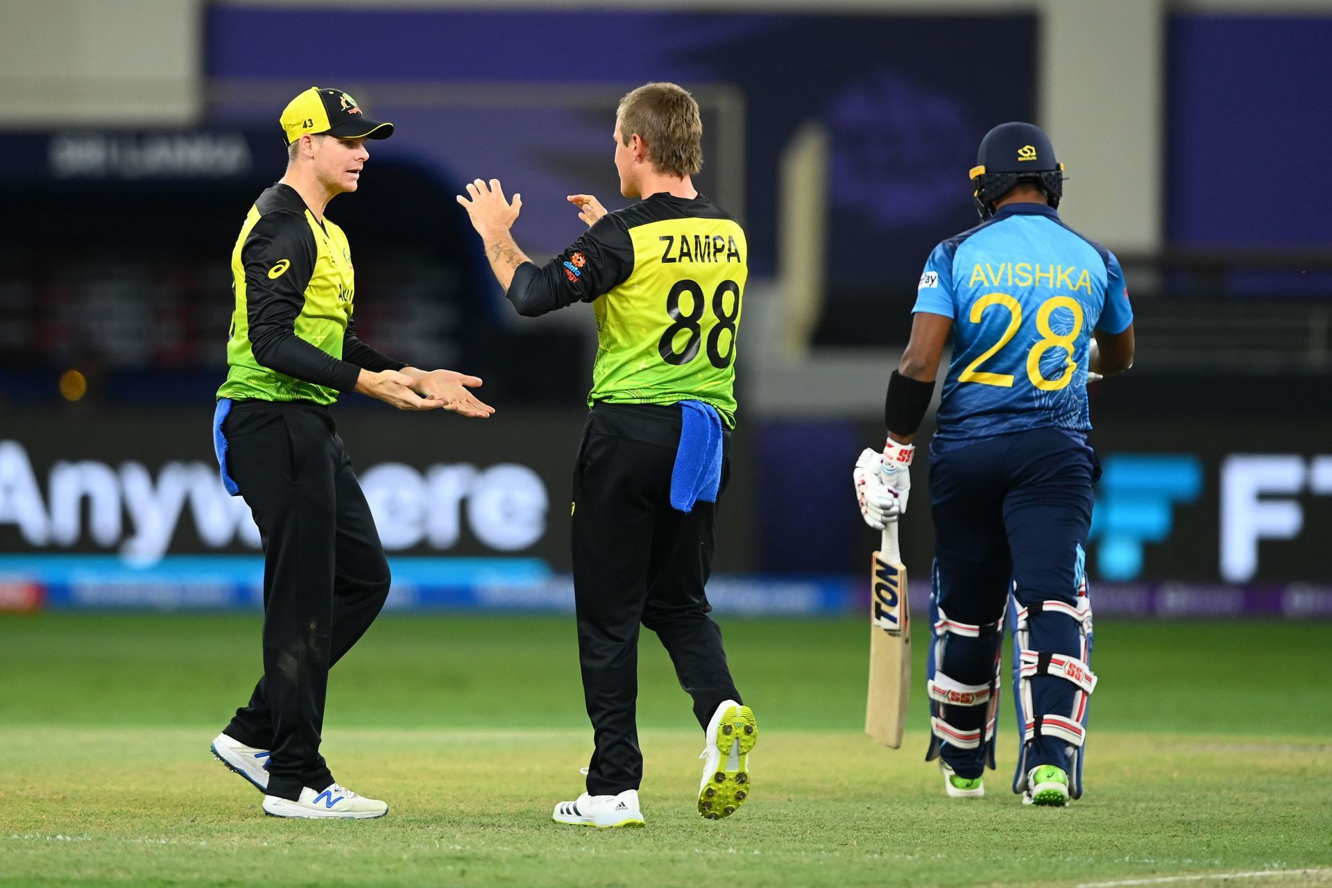 Adam Zampa celebrates the wicket of Avishka Fernando. Pic: Getty Images