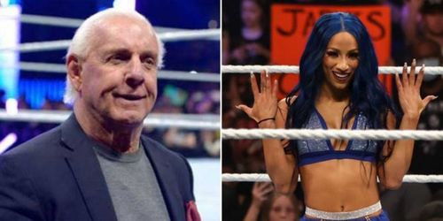 WWE Hall of Famer Ric Flair and Sasha Banks