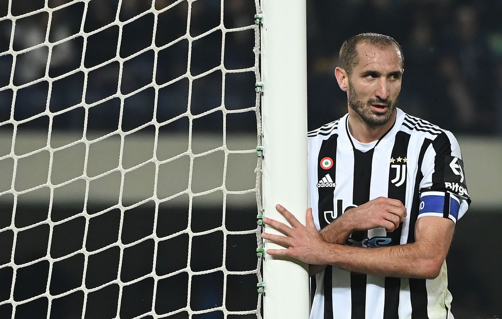 Hellas Verona FC vs Juventus - Giorgio Chiellini in action