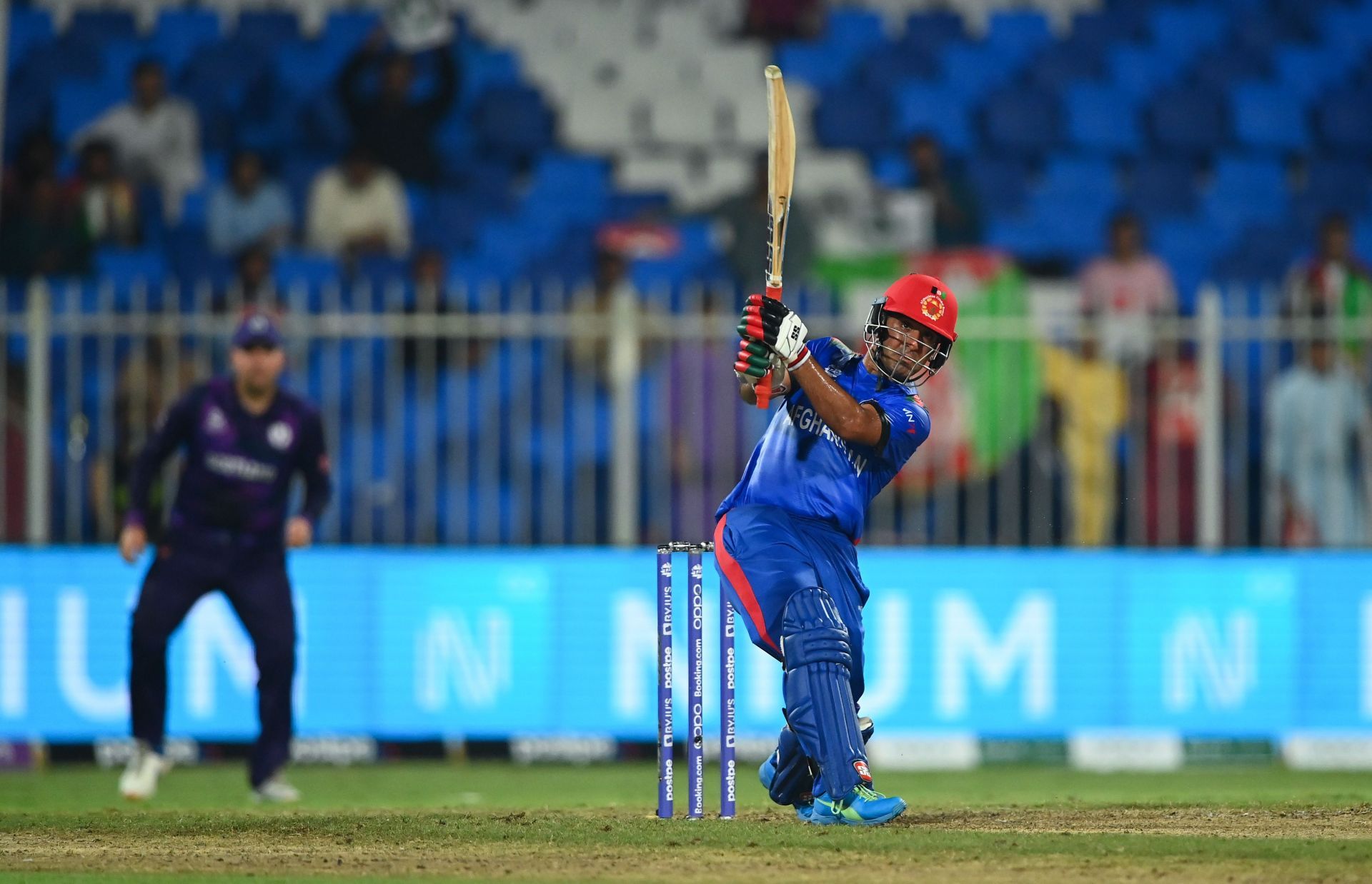 Najibullah Zadran was irresistible against Scotland