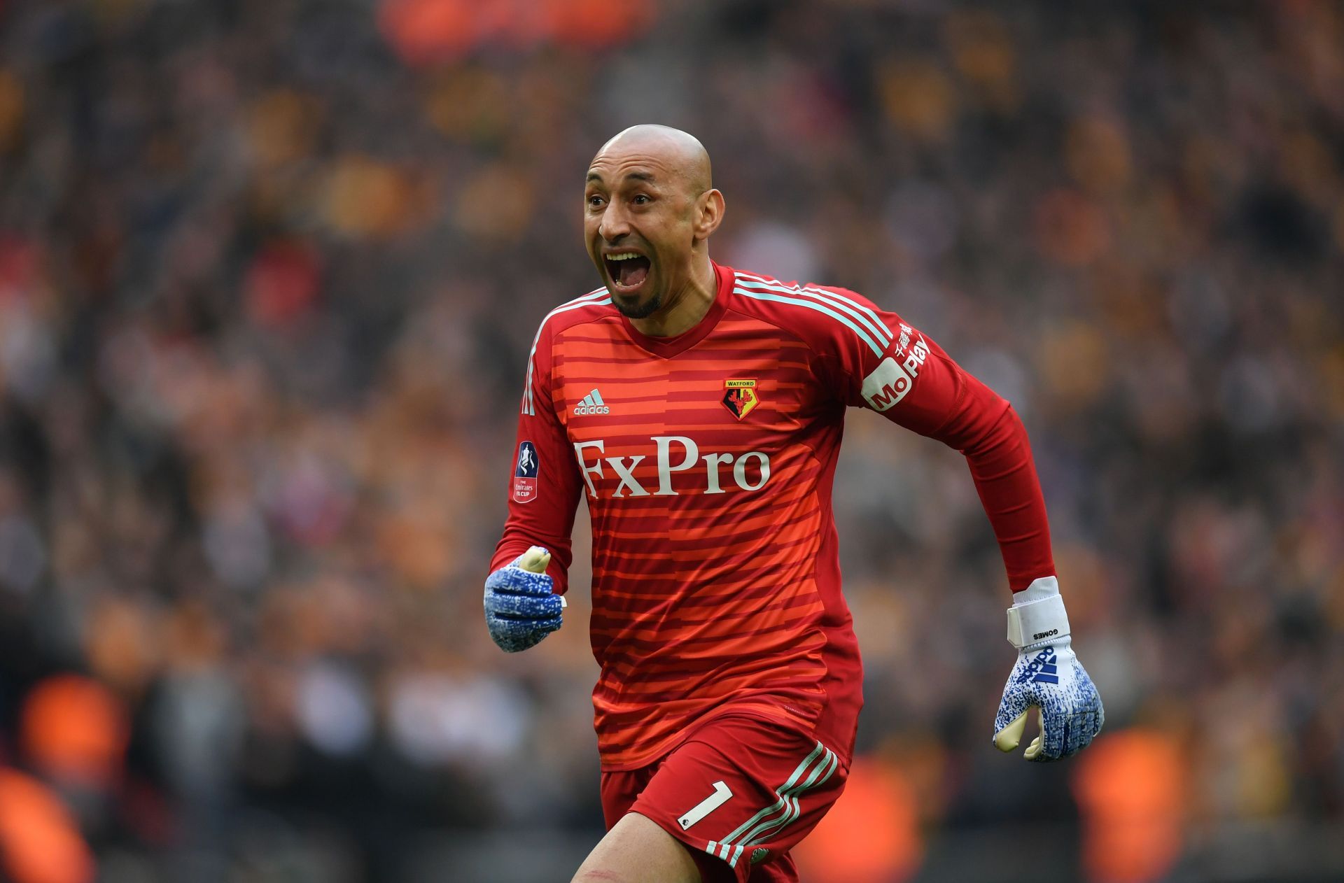 Heurelho Gomes is a penalty-saving specialist.