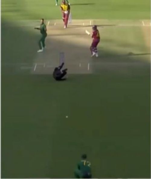 Aleem Dar had to duck for cover...only to do so again during the South Africa vs West Indies match.