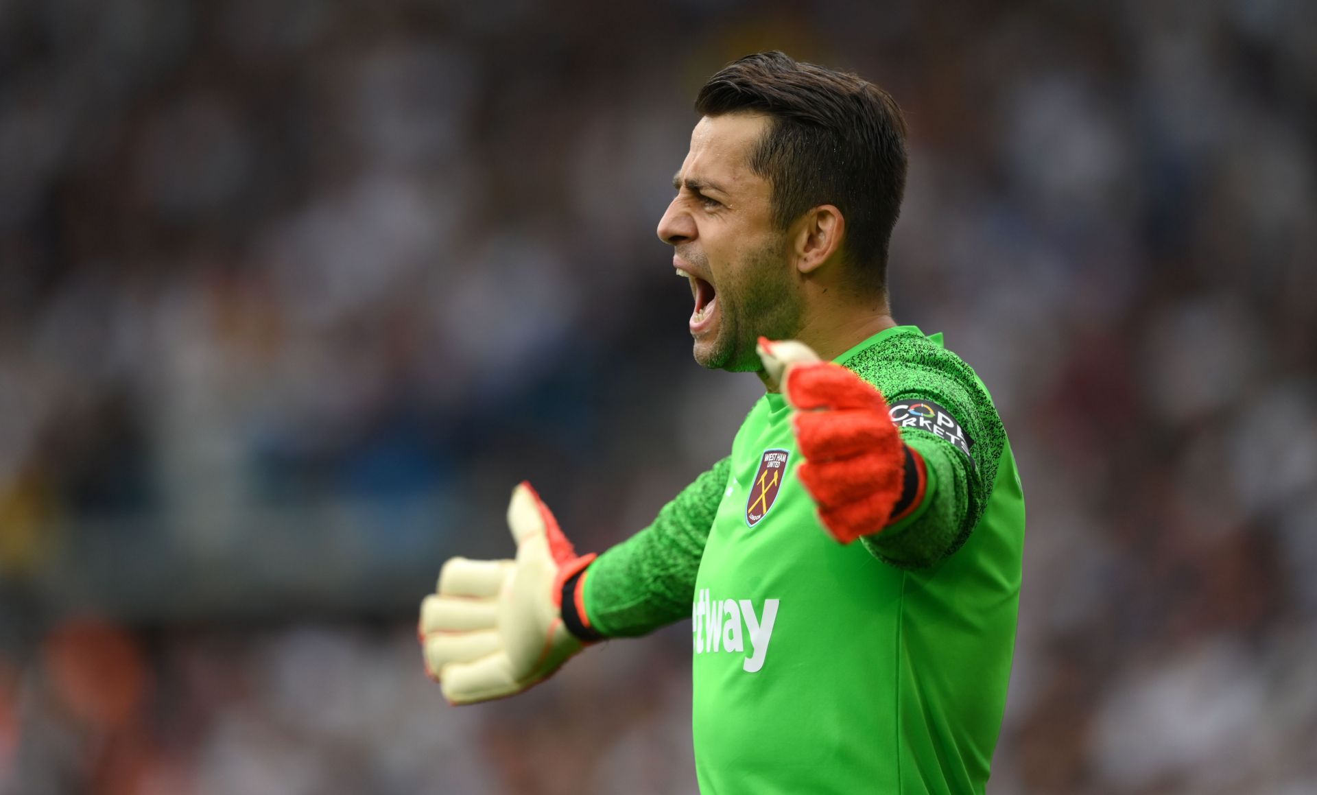 Lukasz Fabianski has had a successful Premier League stint.