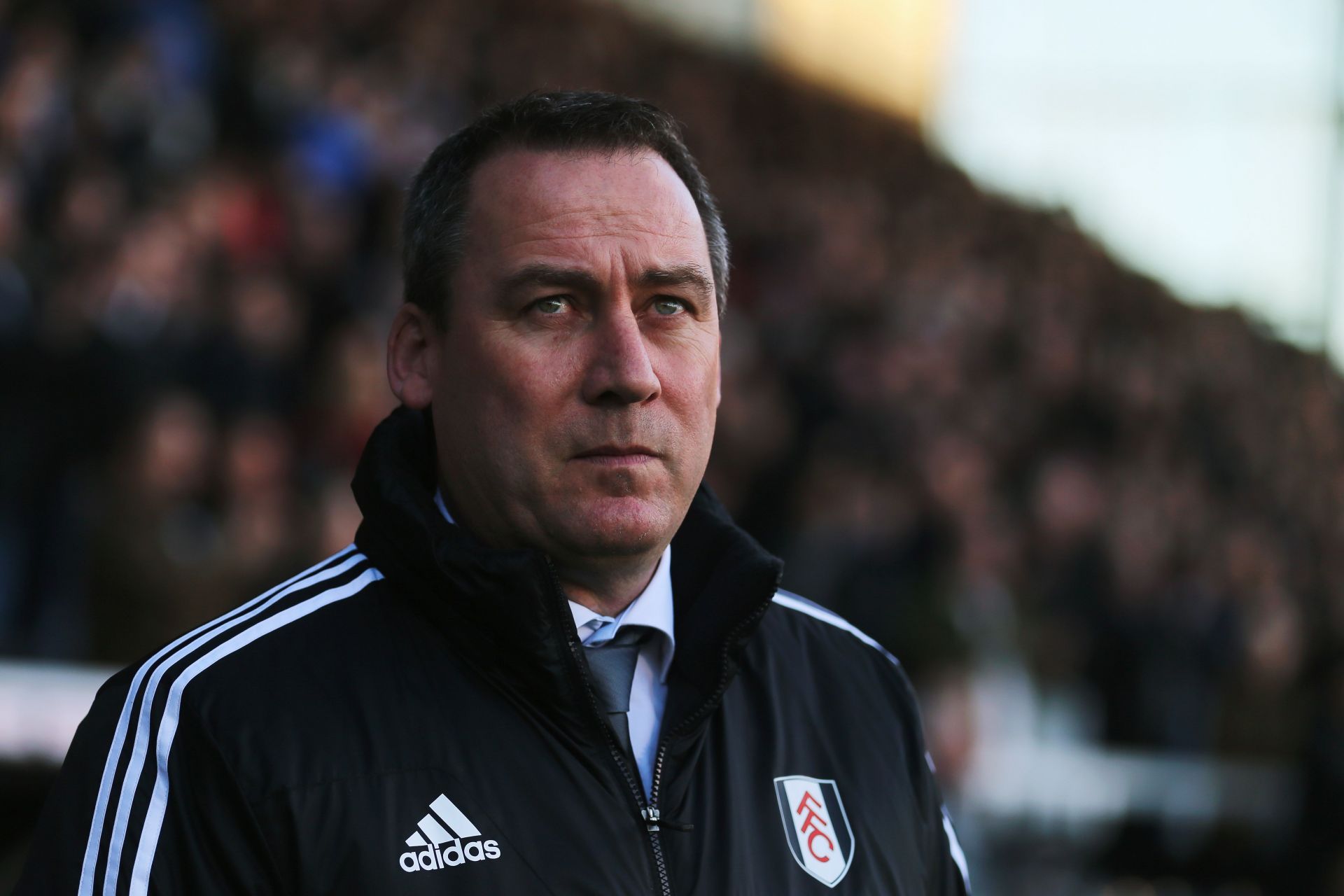 Fulham v Sunderland - Premier League