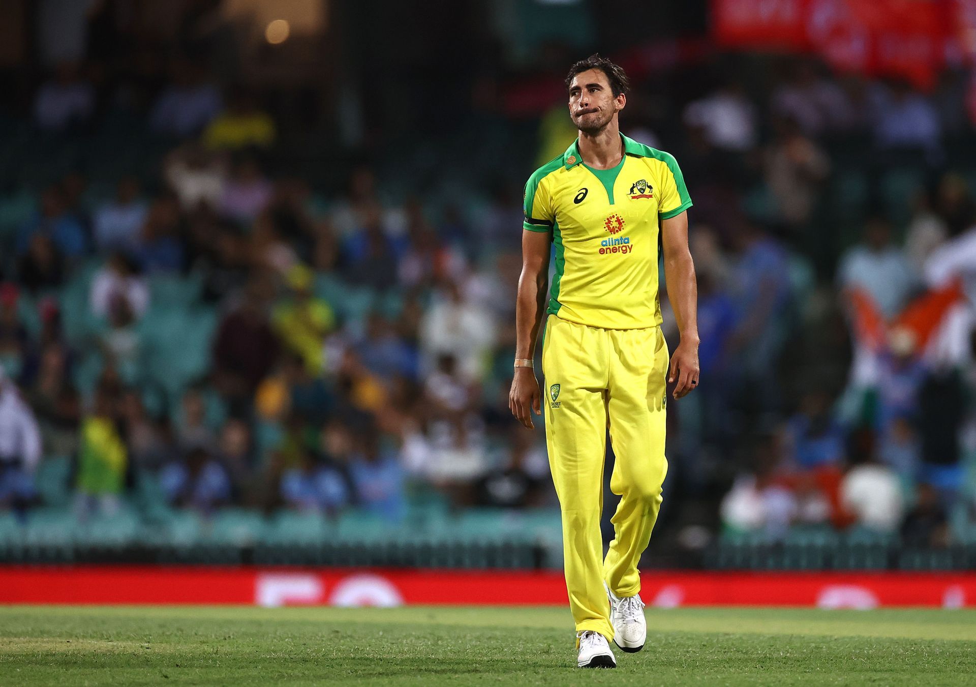 Mitchell Starc. (Image Credits: Getty)