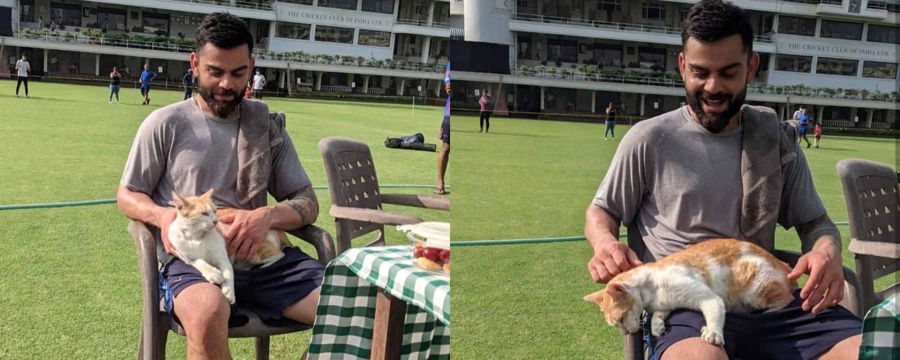 Virat Kohli with a cat during India&rsquo;s practice session. Pic: Virat Kohli/ Instagram