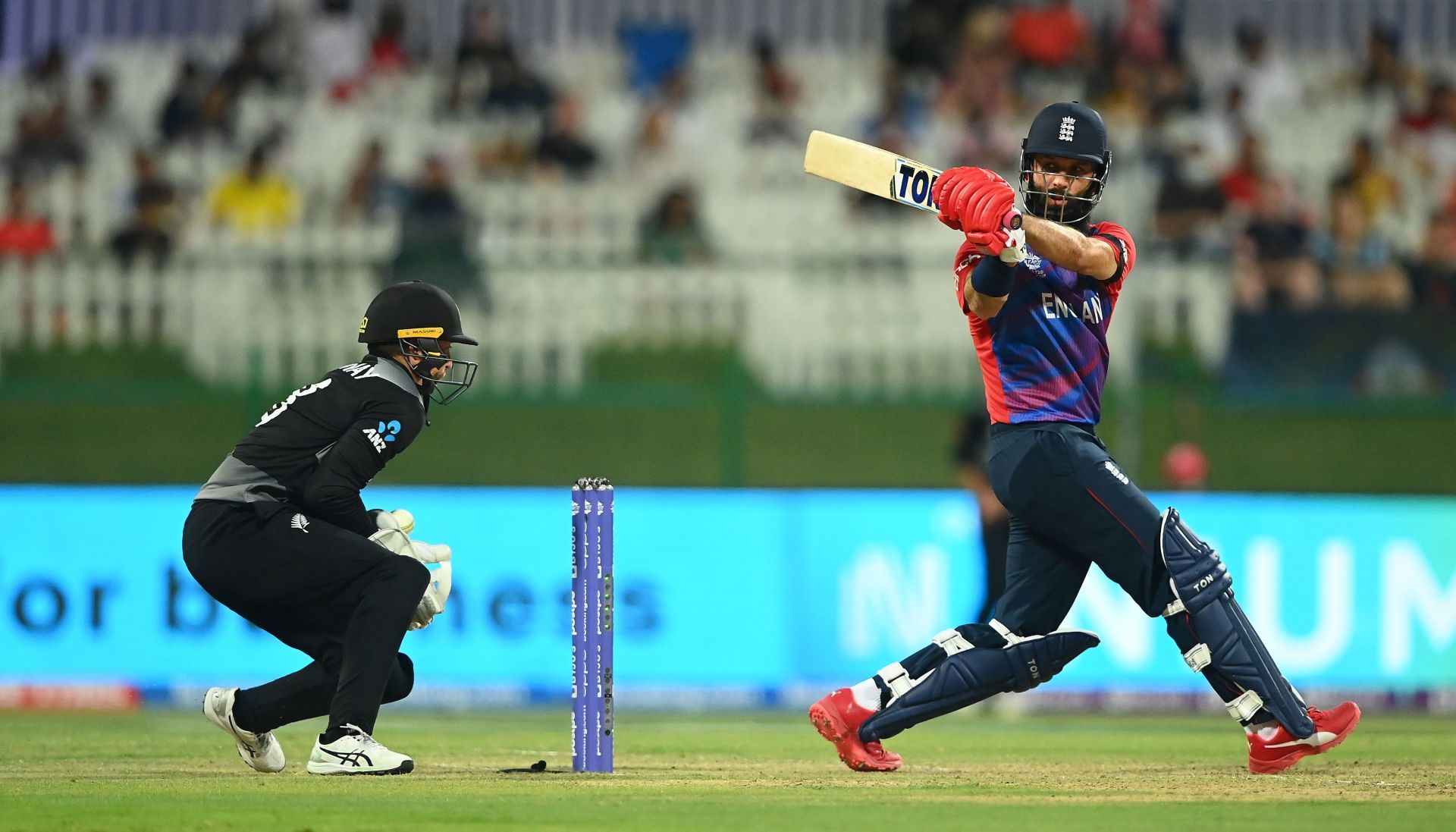 Moeen Ali had an impressive tournament with both bat and ball.