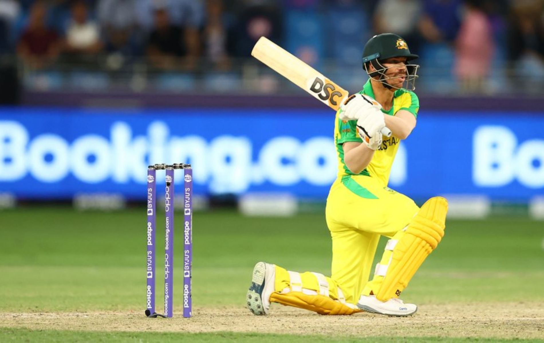David Warner hit a half-century in the 2021 T20 World Cup final against New Zealand.