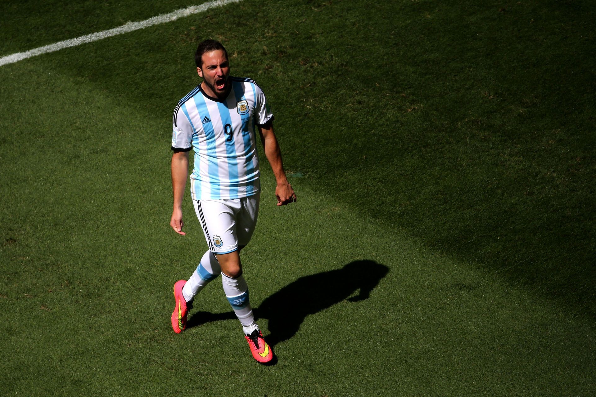 Gonzalo Higuain