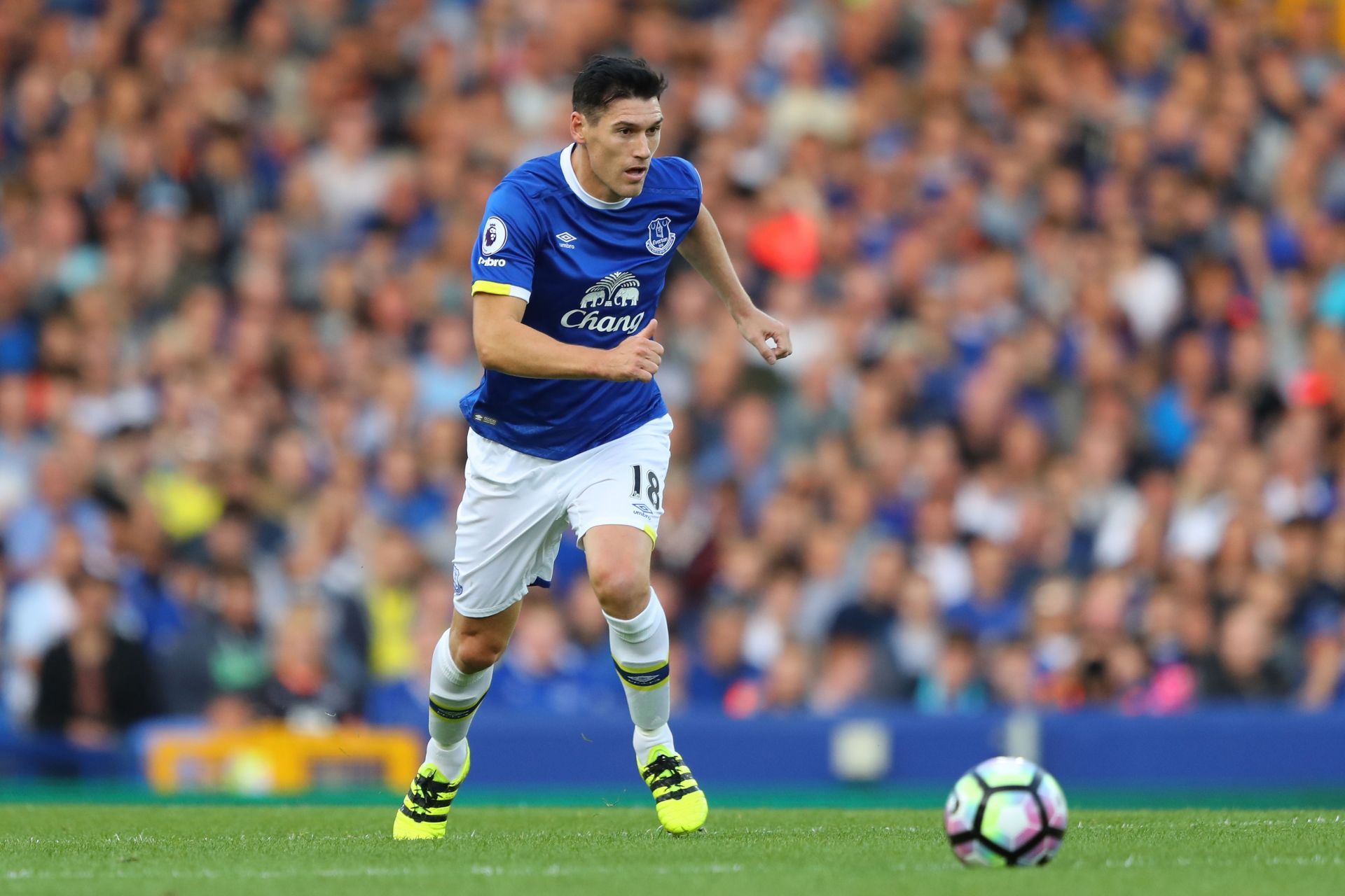 Gareth Barry made over 650 Premier League appearances.