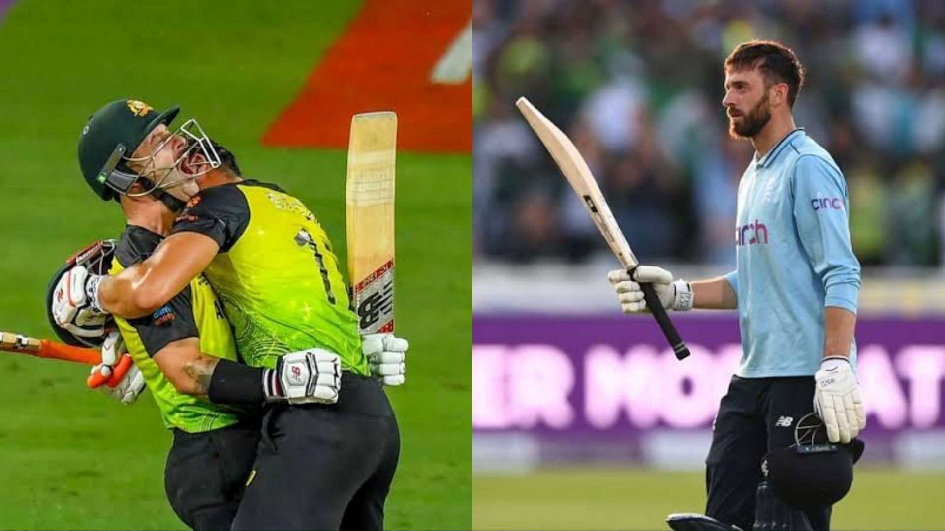 Matthew Wade and James Vince are likely to be part of IPL Auction 2022