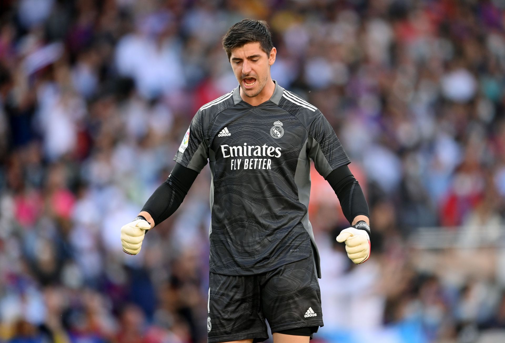 Thibaut Courtois in action