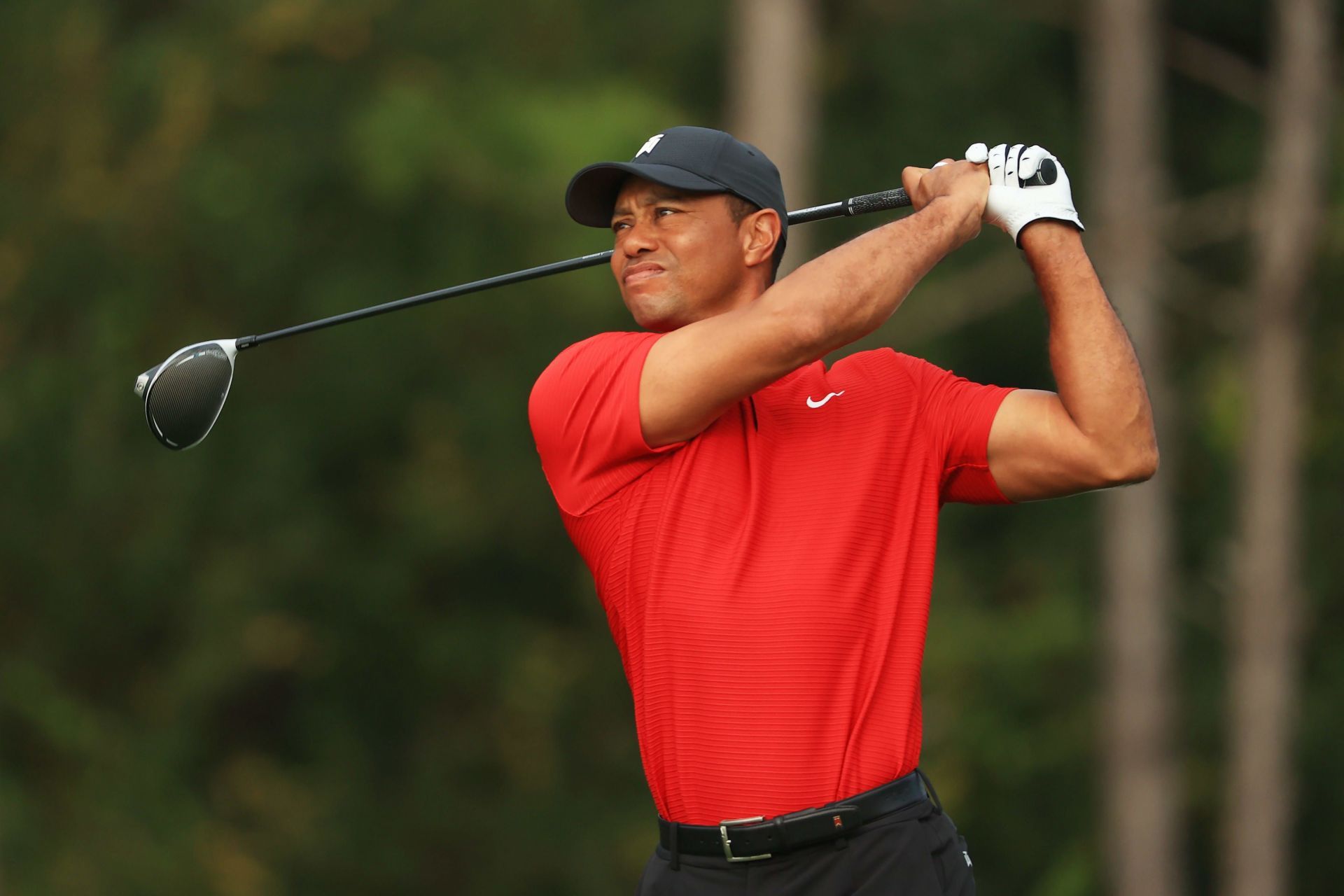 Tiger Woods, the highest paid golfer