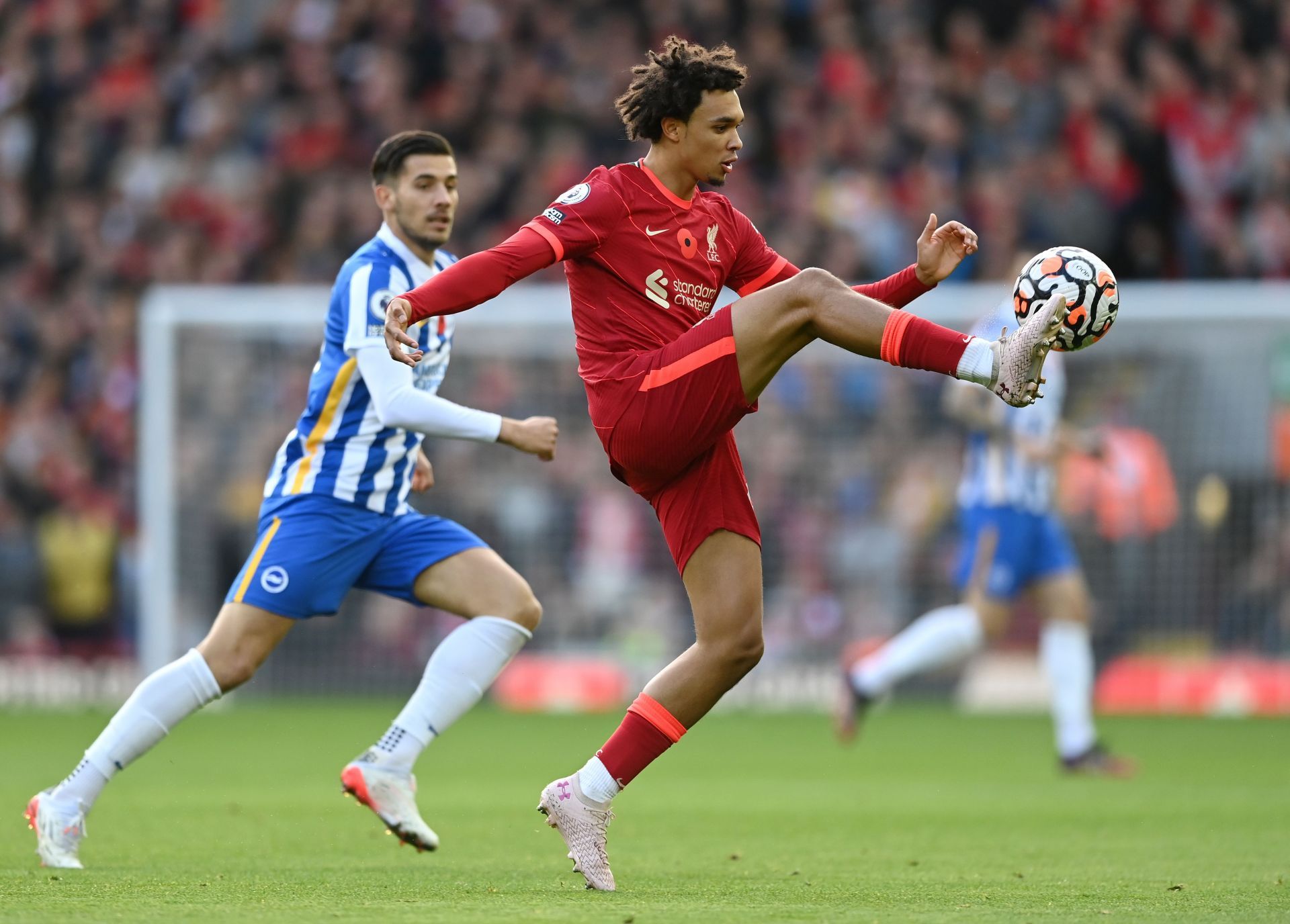 Liverpool v Brighton &amp; Hove Albion - Premier League