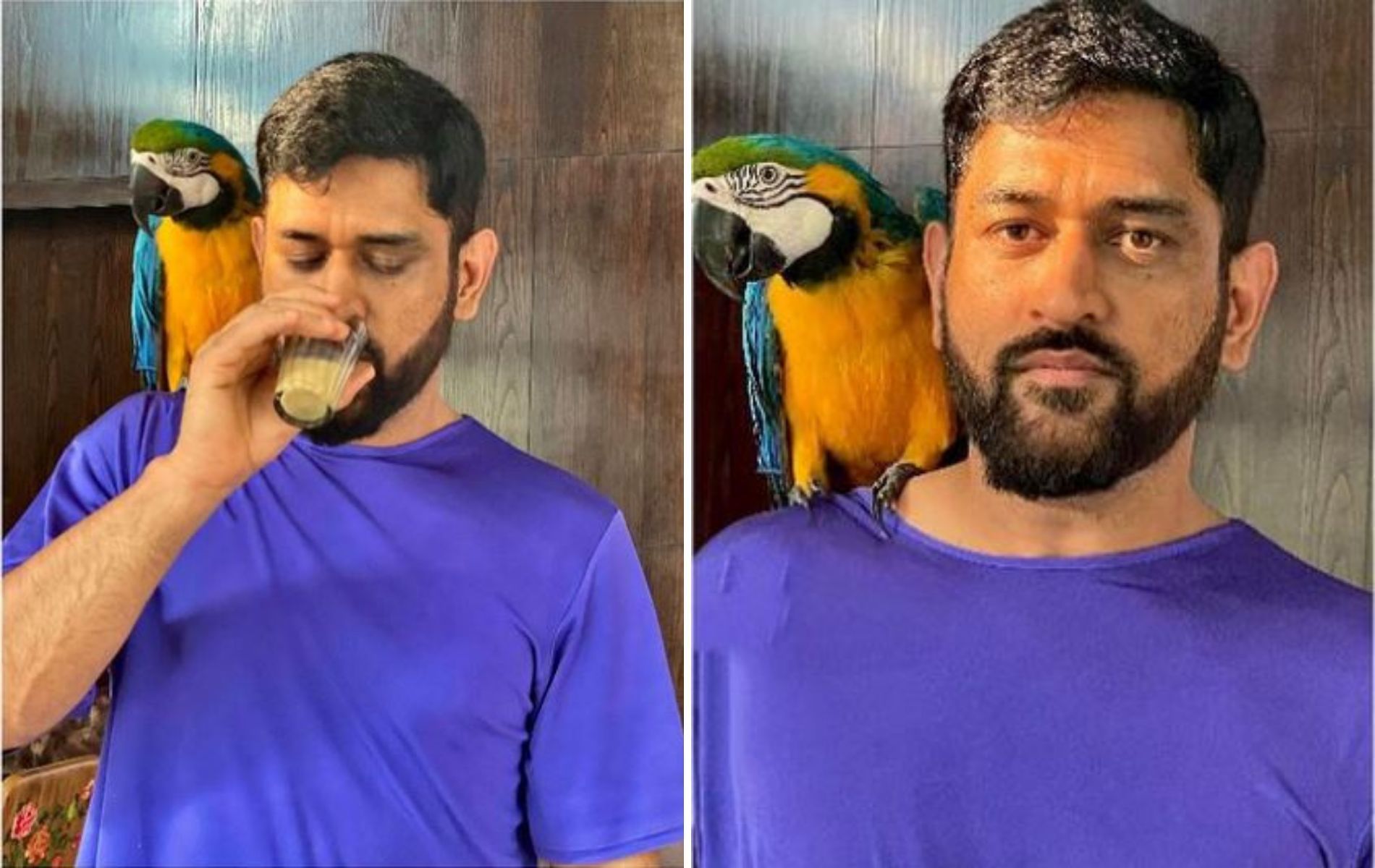 MS Dhoni with his new pet parrot. (Image source: Sakshi Singh Dhoni/Instagram)