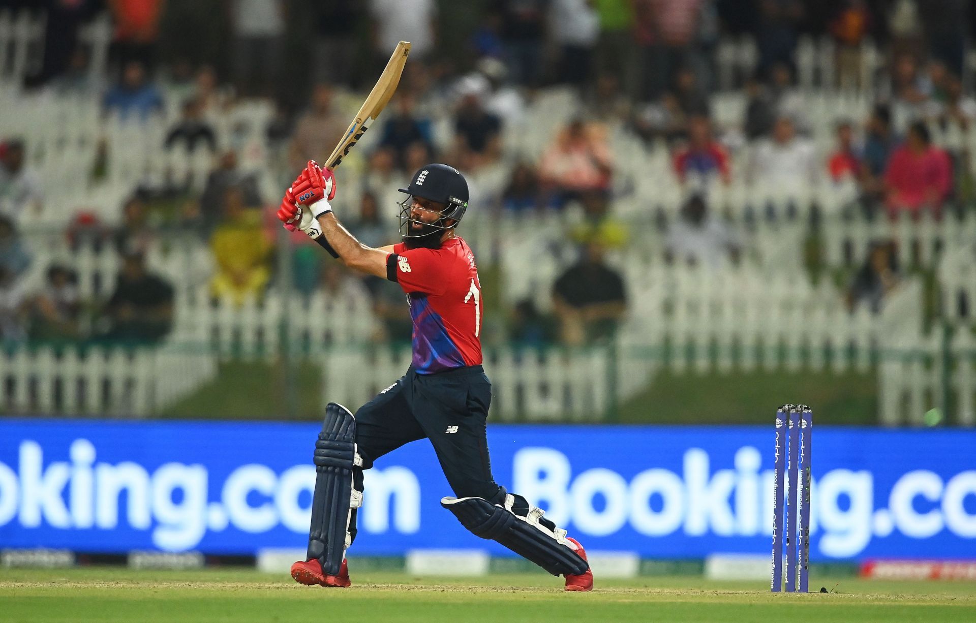 Moeen Ali bats against New Zealand. Pic: Getty Images