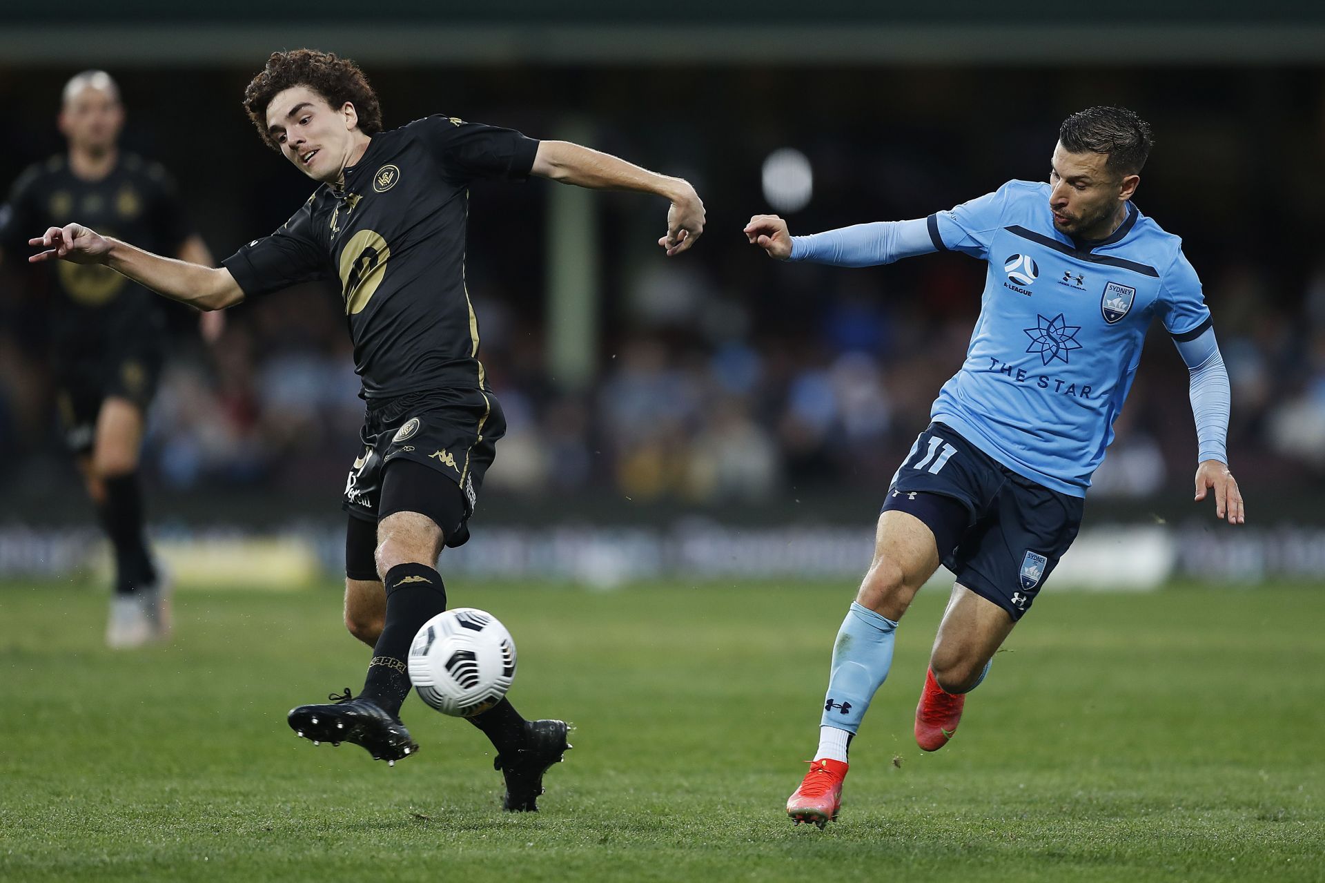 Western Sydney Wanderers take on Sydney FC this weekend