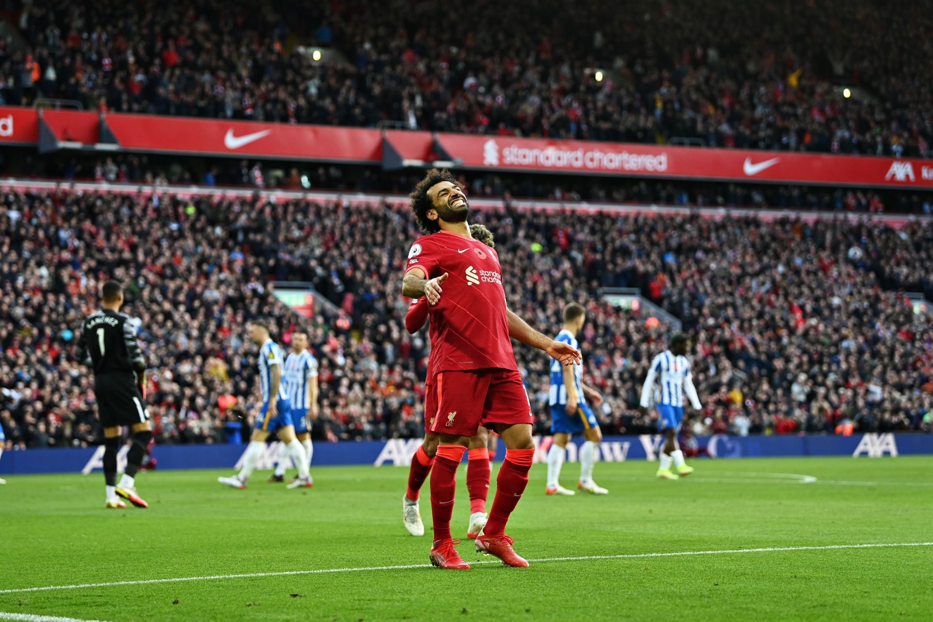 Liverpool v Brighton &amp; Hove Albion - Premier League