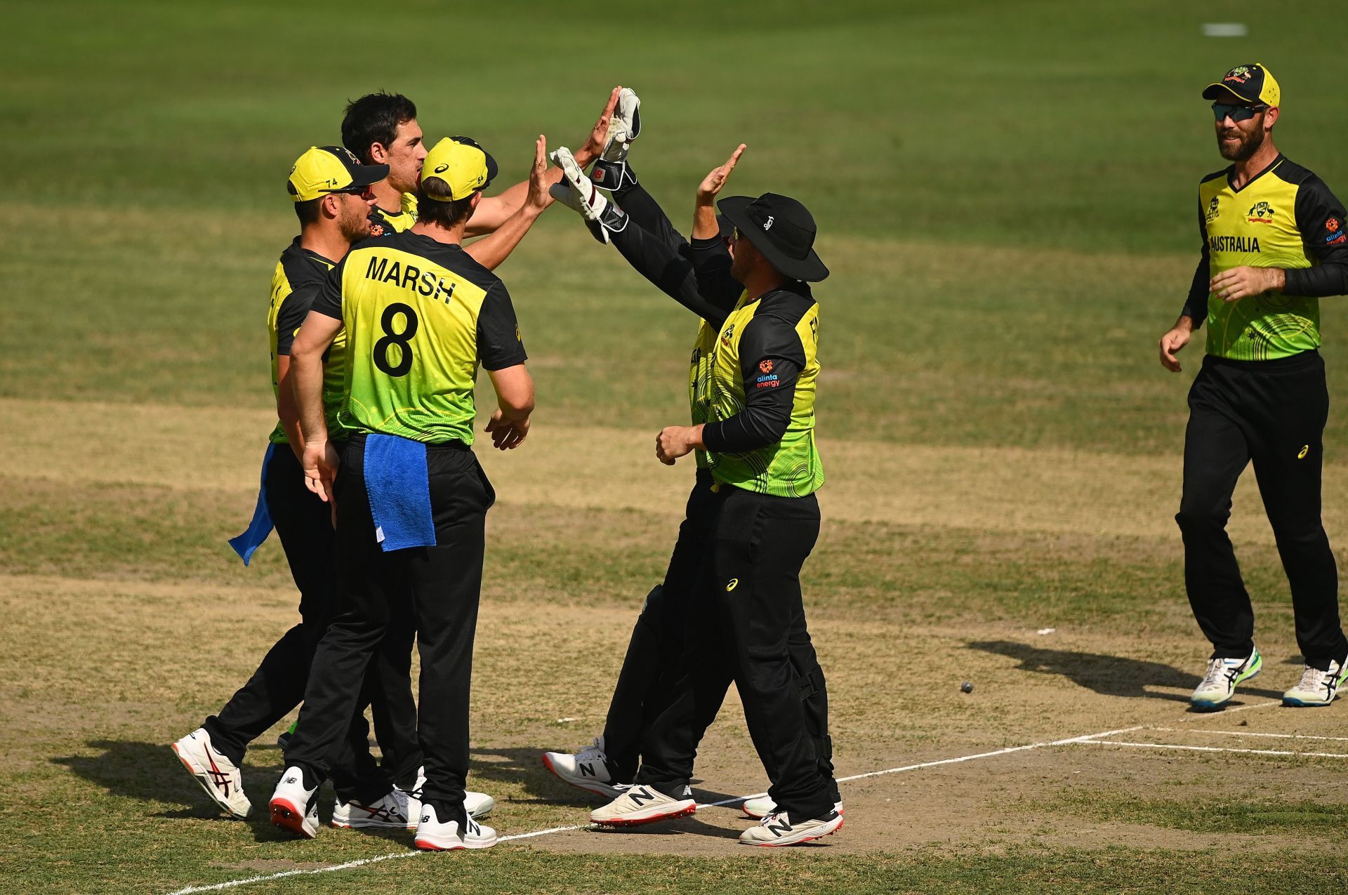 Australia has the team to beat Pakistan in the semi-final