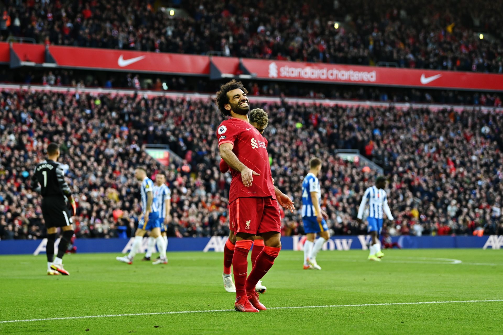 Liverpool v Brighton &amp; Hove Albion - Premier League