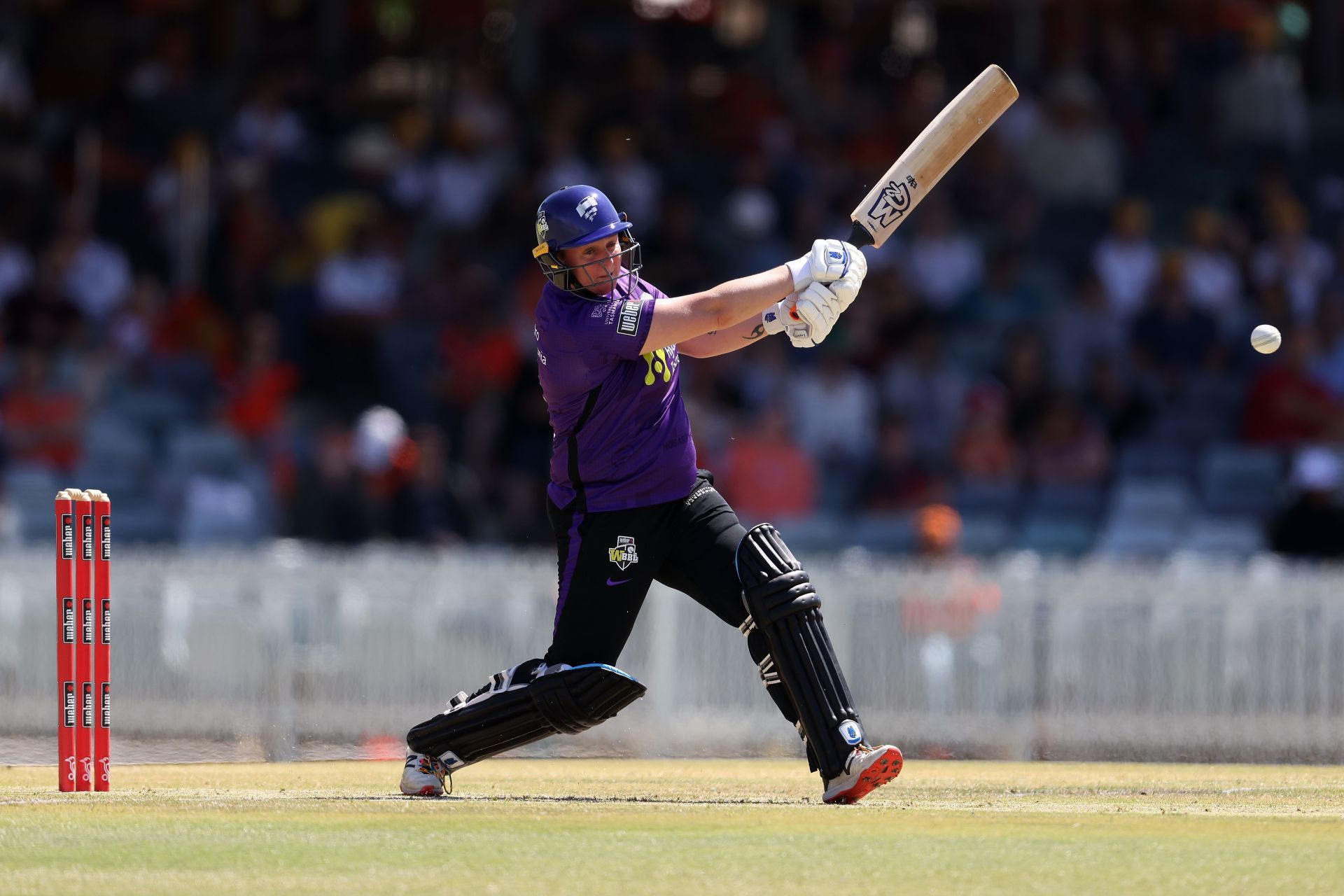 Rachel Priest in action in WBBL - Scorchers v Hurricanes