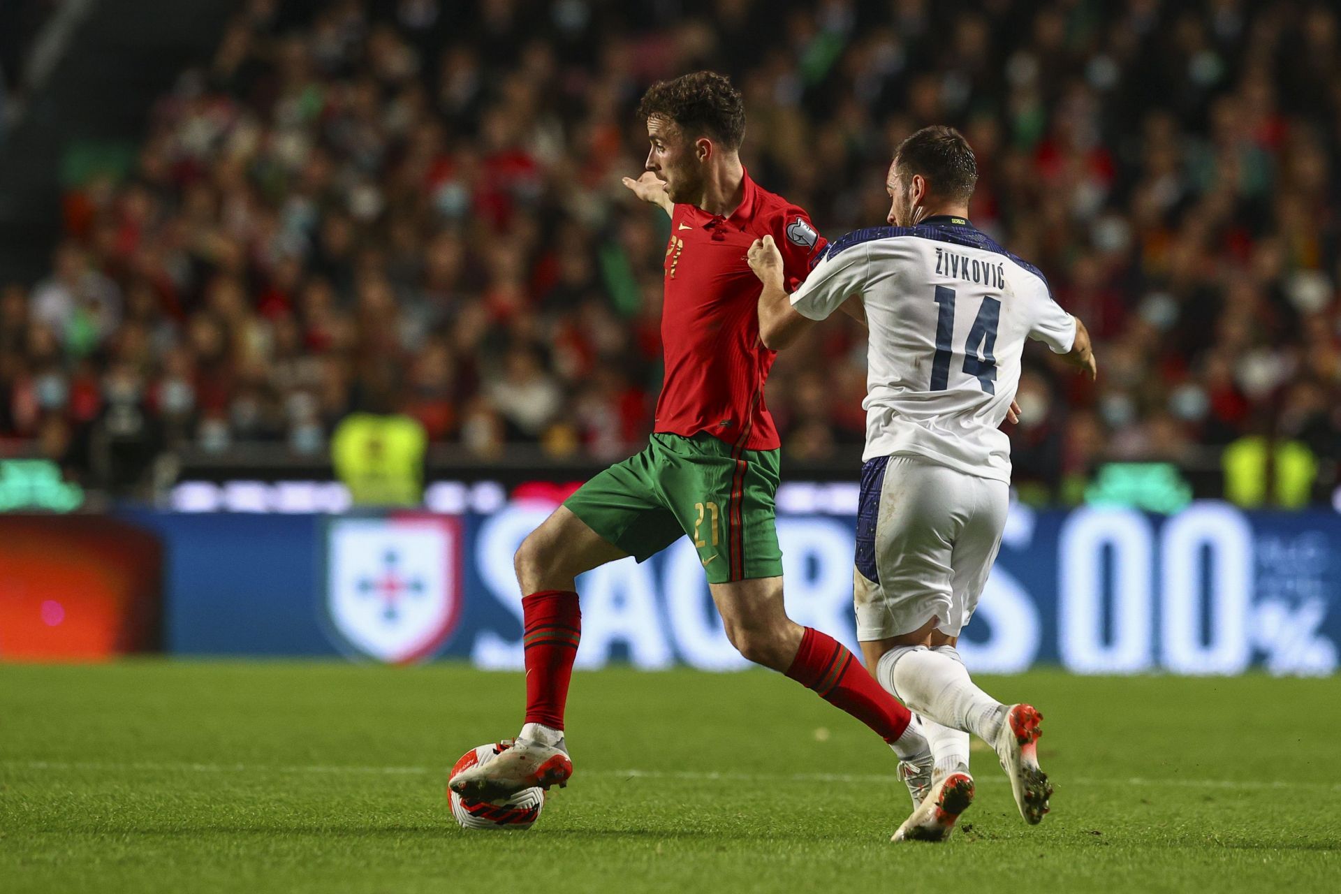 Portugal v Serbia - 2022 FIFA World Cup Qualifier