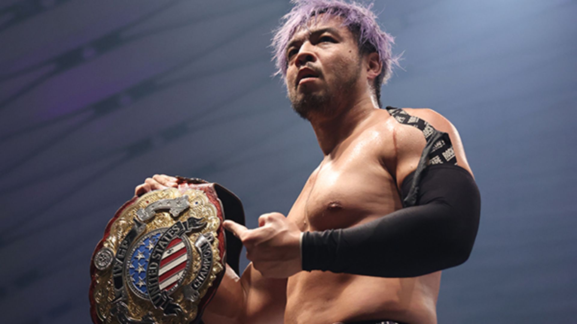 Iwgp us championship online