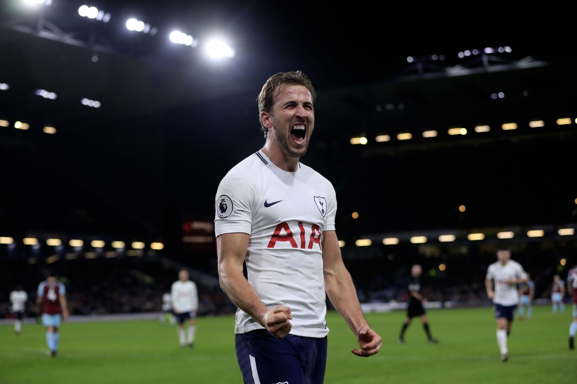 Harry Kane enjoyed a breakout year in 2017.