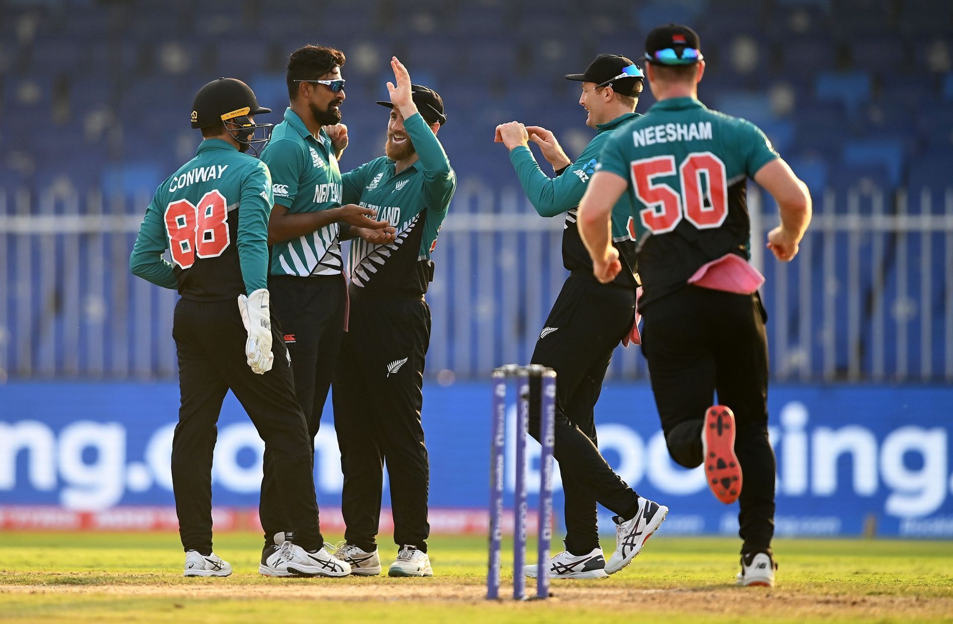New Zealand cricket team celebrates a wicket against Namibia