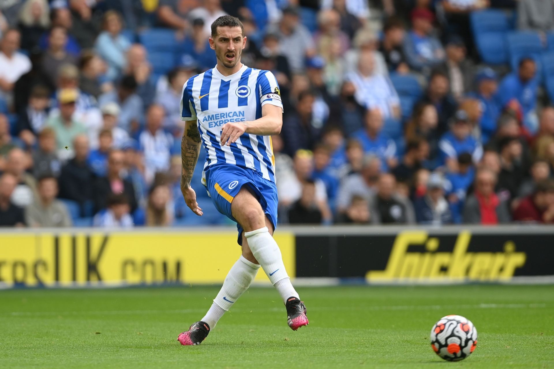 Brighton &amp; Hove Albion v Everton - Premier League