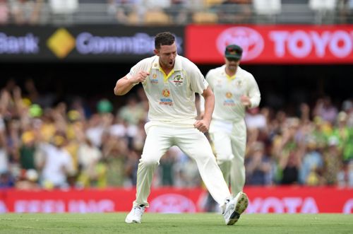 Josh Hazlewood. (Image Credits: Getty)