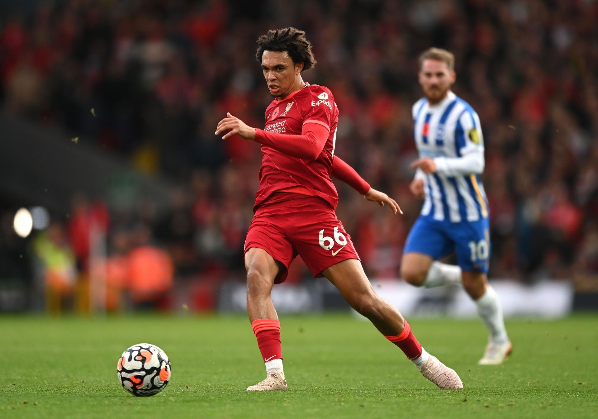 Liverpool v Brighton &amp; Hove Albion - Premier League