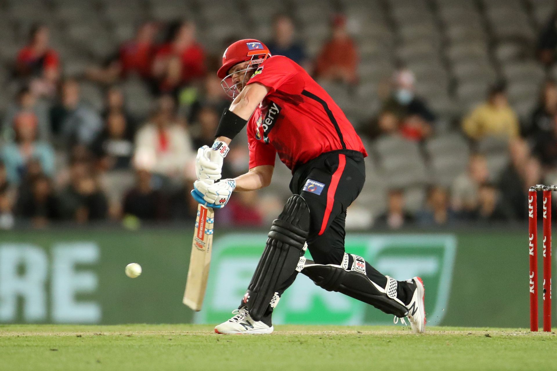 BBL - Renegades v Scorchers, Aaron Finch 