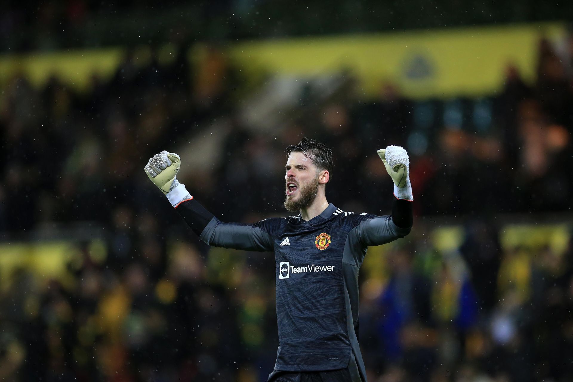 David de Gea brought his A-game to Carrow Road.